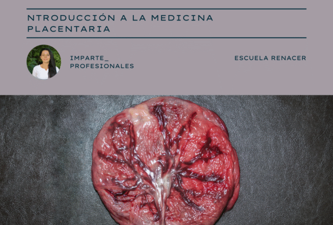 Podcast Post de Instagram Moderno Bonito Colorido Rosado (5)