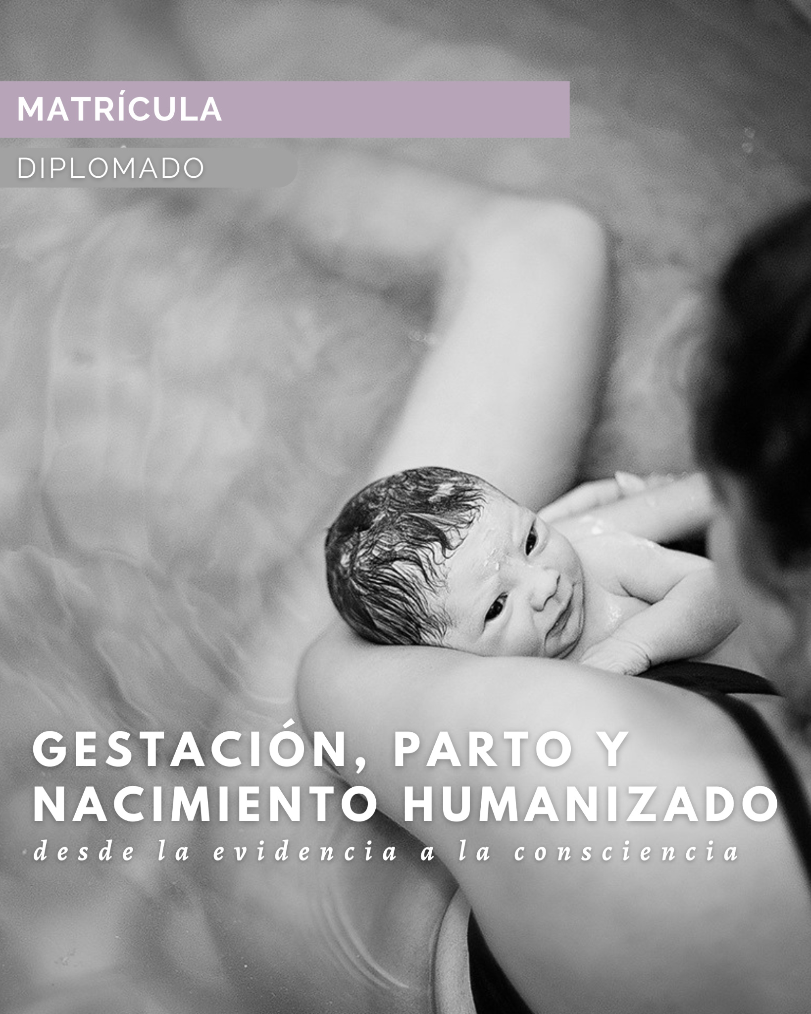 Matrícula – Diplomado Parto Humanizado (Online / Presencial)
