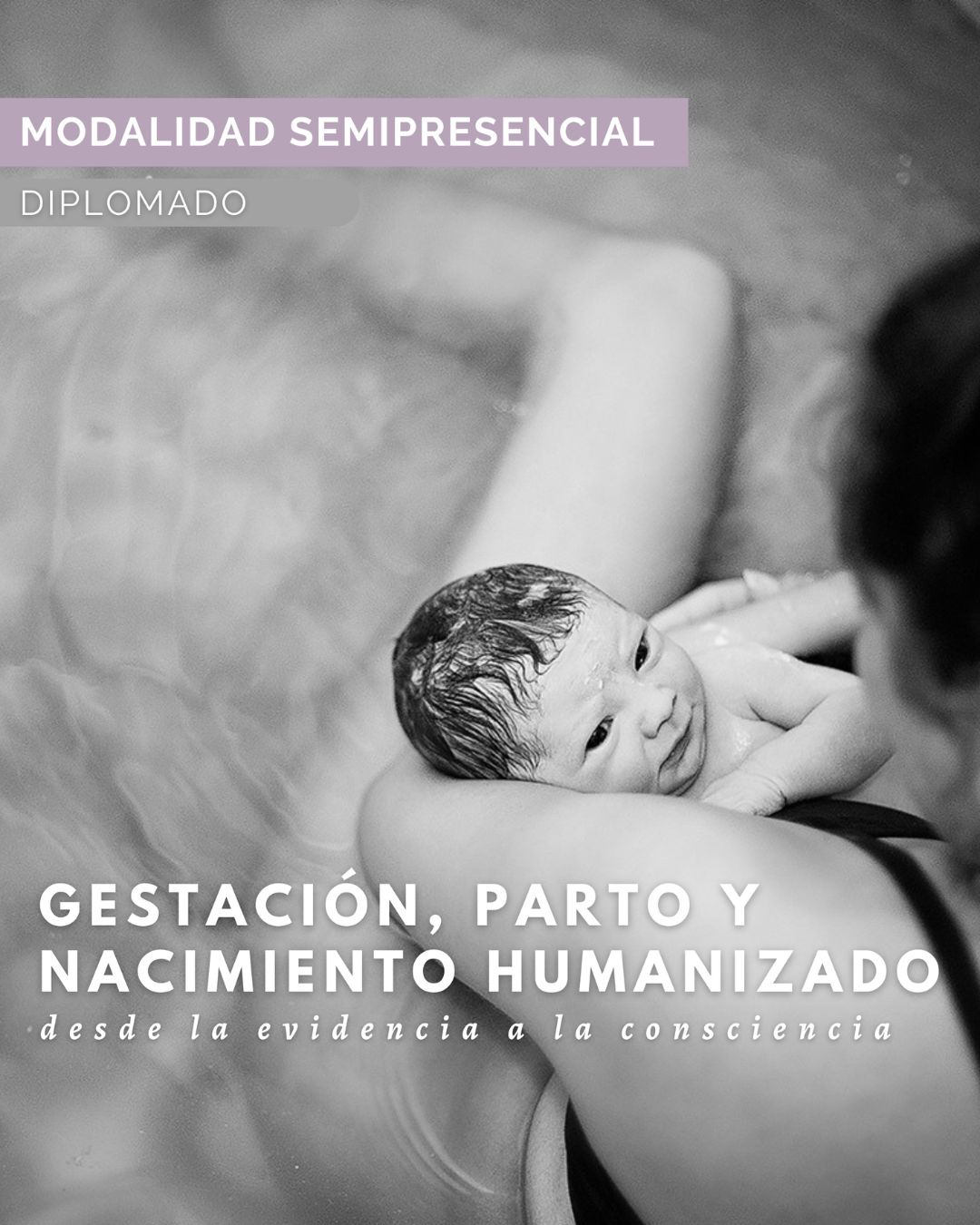 Imagen referencial del diplomado semipresencial