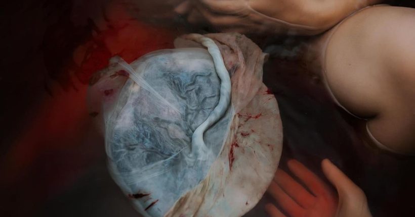 Placenta